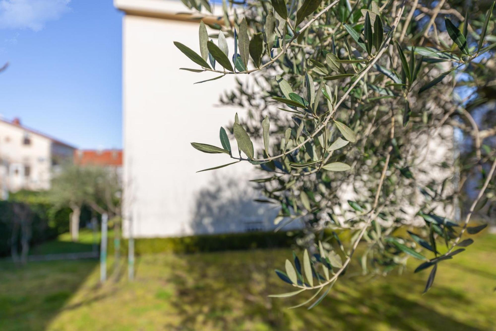 Apartment Nature *